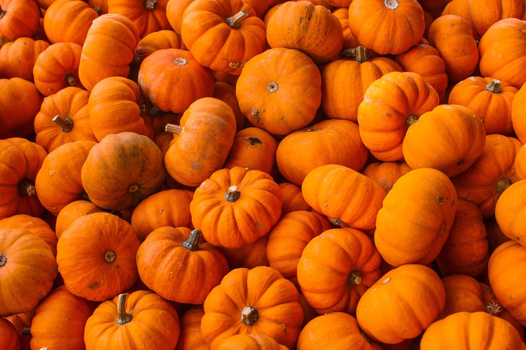 pumpkins