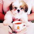 Happy International Coffee Day ☕️🧡☕️🧡 