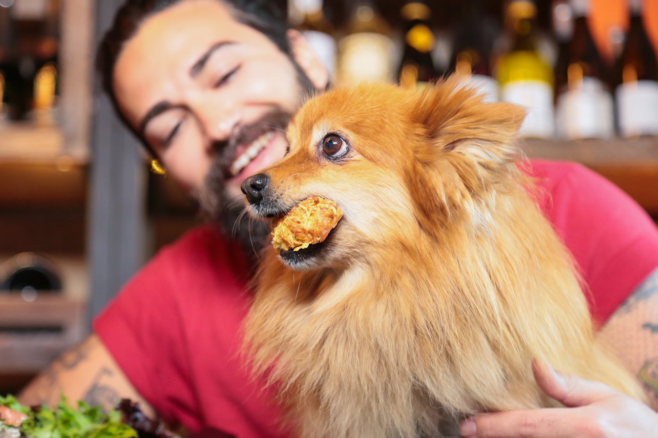 dog and croissant 2