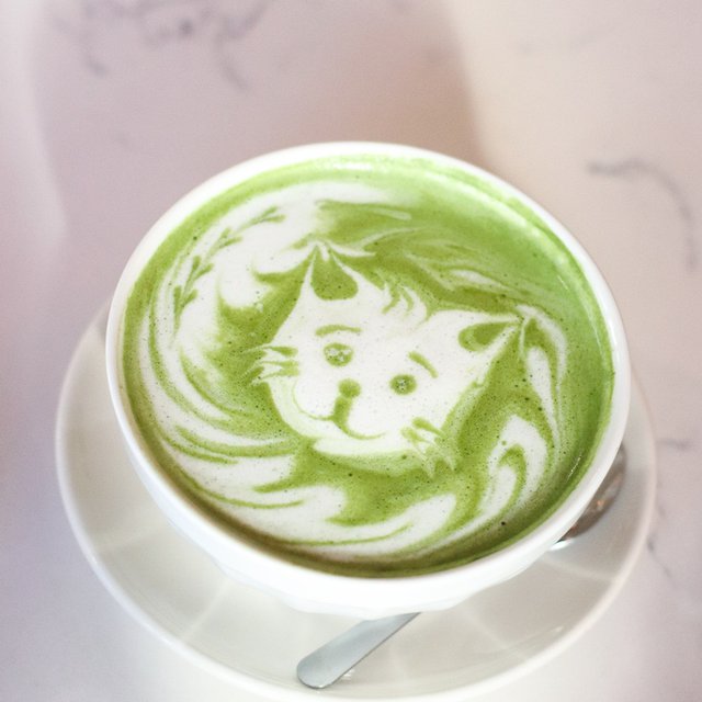 Who's ready for a good #Matcha #Thursday?! https://t.co/I2ZXlZbJoS
